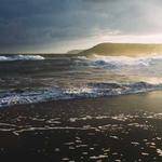 Tatum Nienow Profile Picture