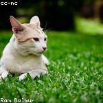 Winnifred Graham Profile Picture