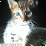 Annabelle Cremin Profile Picture