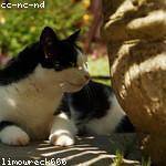 Lucienne Mosciski Profile Picture