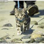 Delta Wunsch Profile Picture