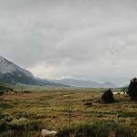 Theresia Thompson Profile Picture