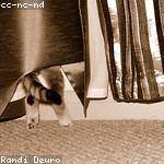 Oliver Reynolds Profile Picture