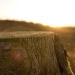 Terence Carter Profile Picture