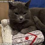 Desiree King Profile Picture