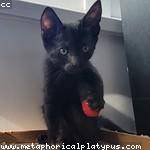 Lafayette Bins Profile Picture