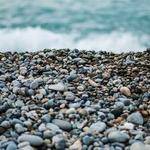 Brandyn Renner Profile Picture