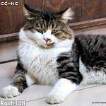 Eleanora Ankunding Profile Picture