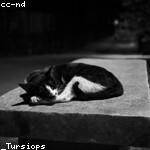 Amely Howe Profile Picture