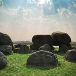 Edward Prohaska Profile Picture