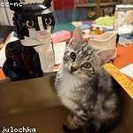 Danial Kassulke Profile Picture