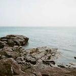 Lupe Bradtke Profile Picture