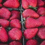 Reagan Hahn Profile Picture