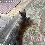 Maureen Pollich Profile Picture