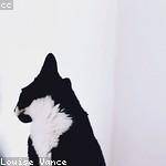 Zelma Wilderman Profile Picture