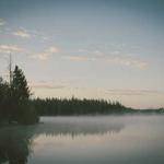 Tad McLaughlin Profile Picture