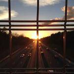 Schuyler Williamson Profile Picture