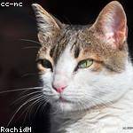 Mattie Zemlak Profile Picture