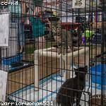 Felix VonRueden Profile Picture