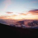 Oma Terry Profile Picture