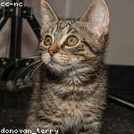 William Kilback Profile Picture