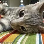 Jeromy Heathcote Profile Picture