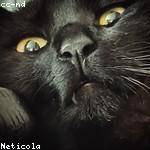 Nadia Schowalter Profile Picture