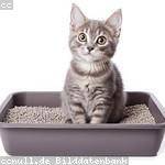 Polly Yundt Profile Picture