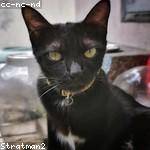 Minnie Pfannerstill Profile Picture