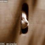 Lizeth Abshire Profile Picture