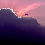 Pattie Abbott Profile Picture