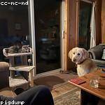 Diana Pacocha Profile Picture