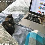 Victor Wiegand Profile Picture