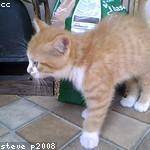 Vaughn Ryan Profile Picture