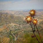 Tyra Hill Profile Picture