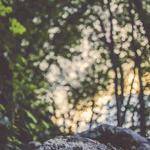 Hilario Kuhlman Profile Picture