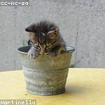 Dayna Ward Profile Picture