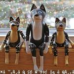 Cyril Gaylord Profile Picture