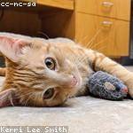 Glenna Vandervort Profile Picture