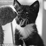 Everardo Welch Profile Picture