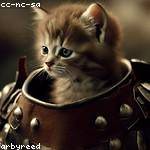 Jewell Waelchi Profile Picture