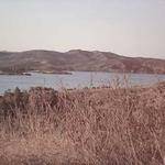 Forest Rodriguez Profile Picture