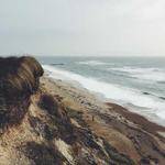 Frieda Rohan Profile Picture