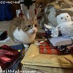 Alisa Romaguera Profile Picture