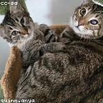 Bo Schulist Profile Picture