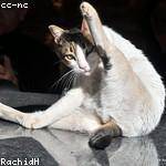 Adelle McClure Profile Picture