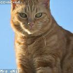 Dariana Goyette Profile Picture