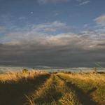 Jeffery Quigley Profile Picture