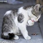 Rafaela Jaskolski Profile Picture