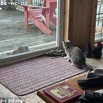 Tyson Franecki Profile Picture